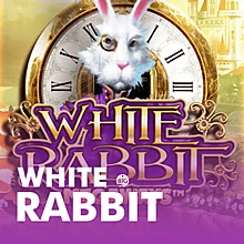 INFO TERUPDATE SLOT GACOR HARI INI 