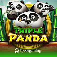 INFO TERUPDATE SLOT GACOR HARI INI 