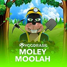 INFO TERUPDATE SLOT GACOR HARI INI 